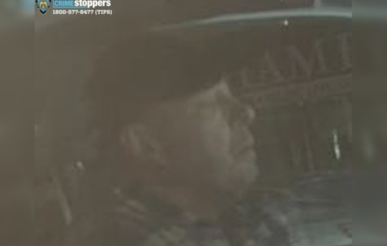 Bronx Snow Shovel Showdown As Gun-Toting Driver Hunted By Cops