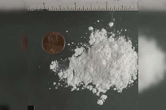 Bronx Suspect Busted After Fatal Garden City ‘Pink Cocaine’ OD
