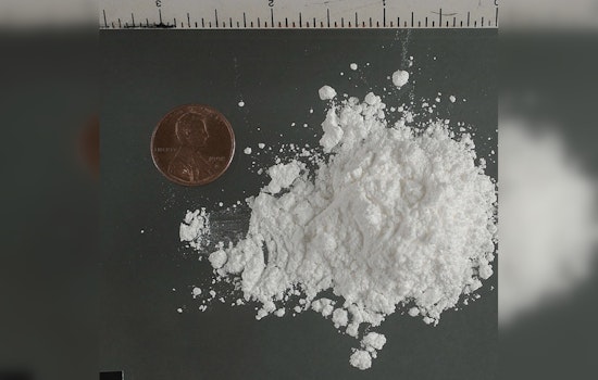 Bronx Suspect Busted After Fatal Garden City ‘Pink Cocaine’ OD