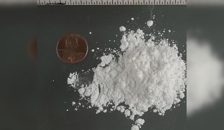Bronx Suspect Busted After Fatal Garden City ‘Pink Cocaine’ OD