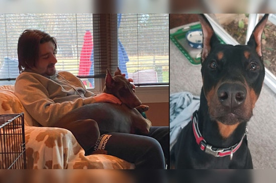 Brookfield Morning Inferno Kills Father, Son and Family Dog