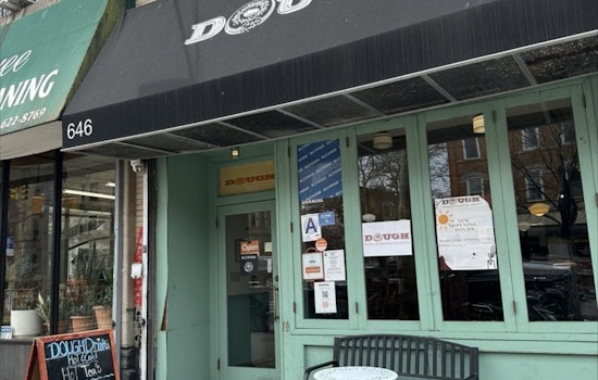 Brooklyn's Dough Doughnuts Has a Mouse Problem — And That's Just the Start of It