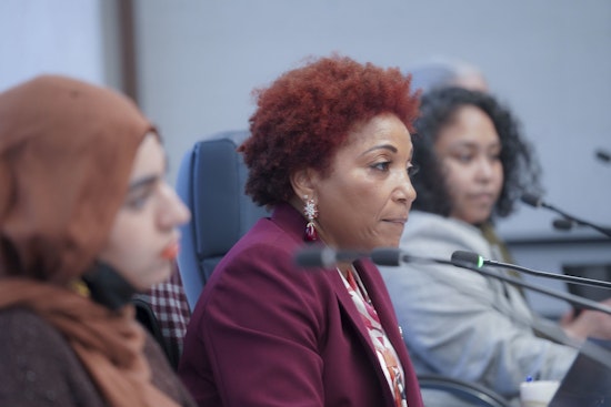 Brooklyn Pols Grill Hospital Chiefs Over High-Stakes Merger