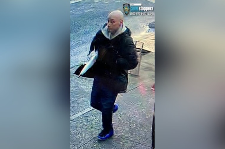 Brooklyn Punk Rips Phone From 76-Year-Old Near Kings Highway