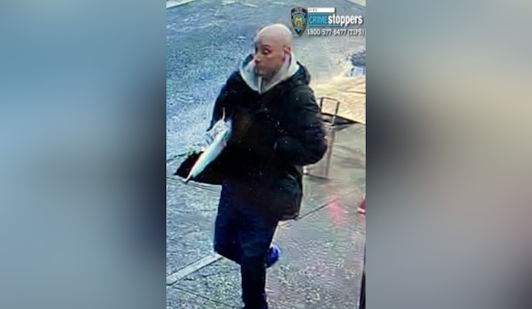 Brooklyn Punk Rips Phone From 76-Year-Old Near Kings Highway