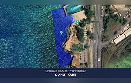 Brown Water Scare At Electric Beach Has Oʻahu Swimmers On Alert