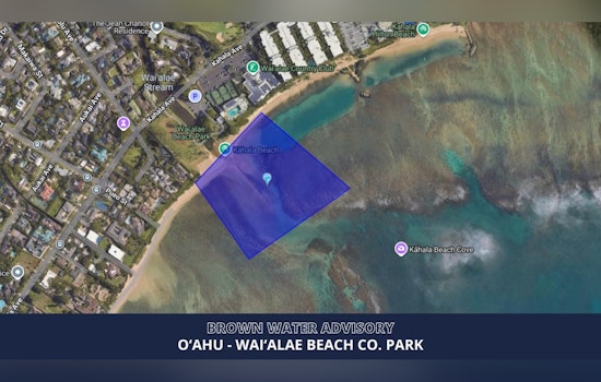 Brown Water Scare Puts Waiʻalae Beach Crowd On Alert