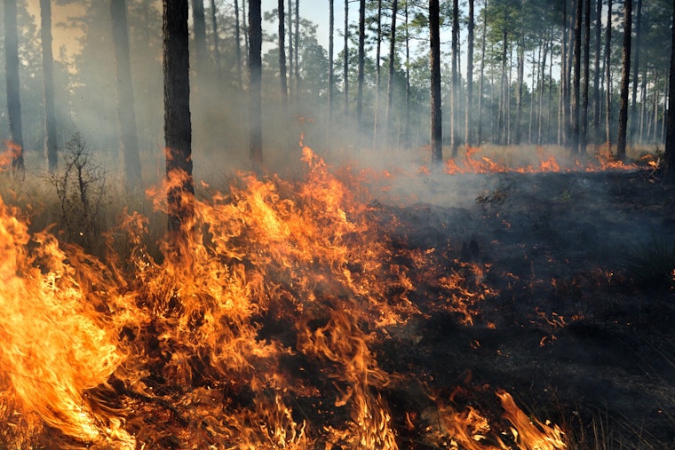 Brush Fire Near Bristol Triggers Evacuations, Shuts Down Country Roads