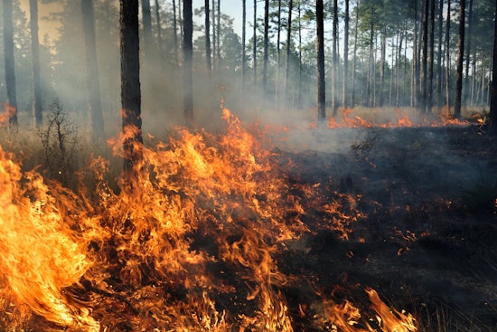 Brush Fire Near Bristol Triggers Evacuations, Shuts Down Country Roads