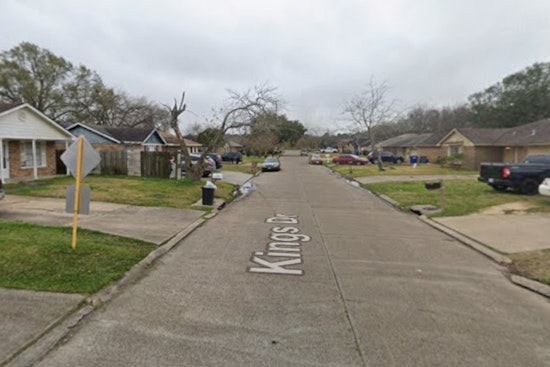 Brutal Baytown Woods Case After Dog Found Badly Wounded Off Kings Drive