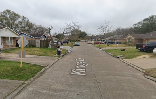 Brutal Baytown Woods Case After Dog Found Badly Wounded Off Kings Drive