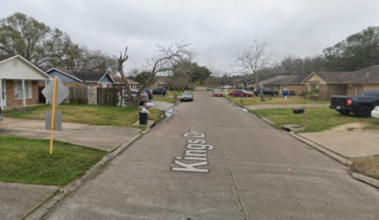 Brutal Baytown Woods Case After Dog Found Badly Wounded Off Kings Drive