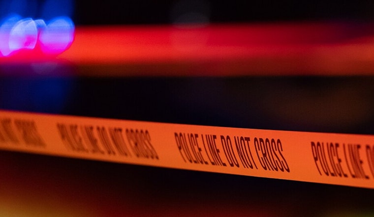 Burlingame Tragedy: Police Say Son Killed Elderly Mother, Then Himself in Quiet San Diego Enclave