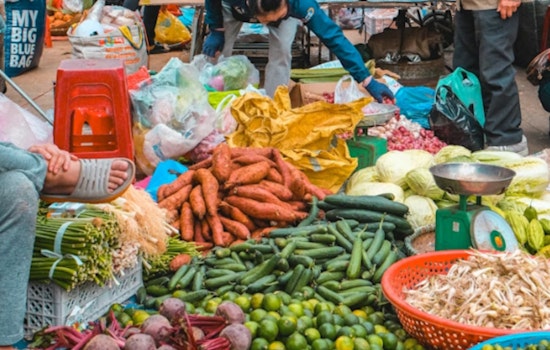 California Pours $23M Into Farmers Market Match Programs
