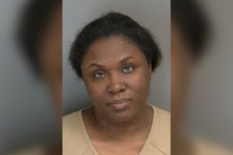 Canton Township Woman Takes No-Contest Deal In Alleged Husband Run-Over