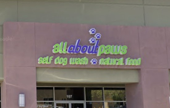 Car Smashes Into North Las Vegas Pet Shop as Shoppers Dive for Dogs