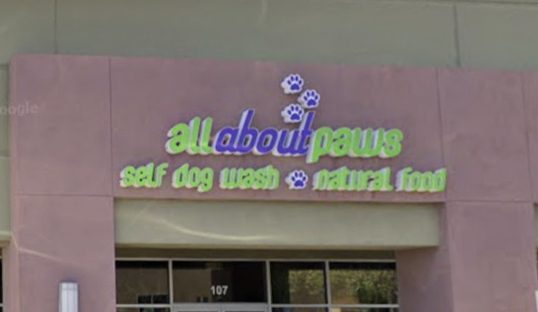 Car Smashes Into North Las Vegas Pet Shop as Shoppers Dive for Dogs