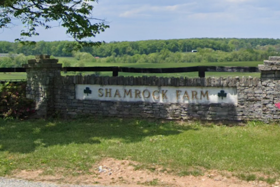 Carroll County Power Play: Locals Fight For First Dibs On Shamrock Farm