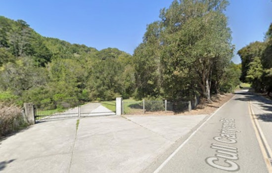 Castro Valley Canyon Erupts In Showdown Over Kids’ Nature Camp
