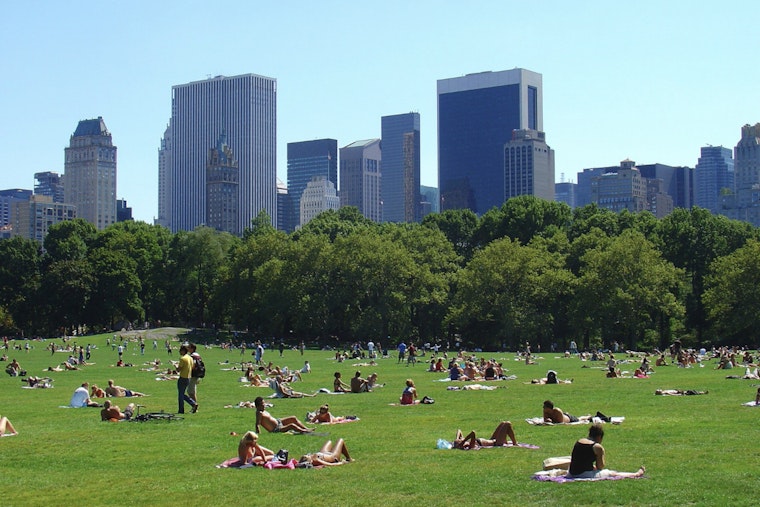 Central Park Vendor Turf War Leaves Woman Slashed