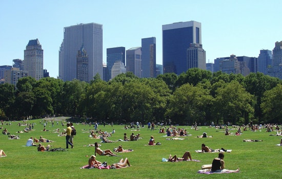 Central Park Vendor Turf War Leaves Woman Slashed