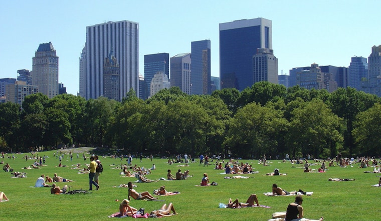 Central Park Vendor Turf War Leaves Woman Slashed