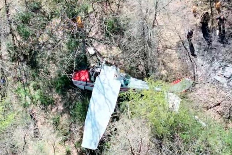 Cessna Slams Into Denton Treeline, Two Walk Away