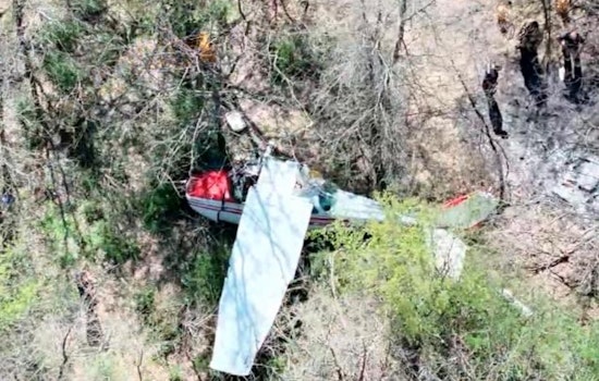 Cessna Slams Into Denton Treeline, Two Walk Away