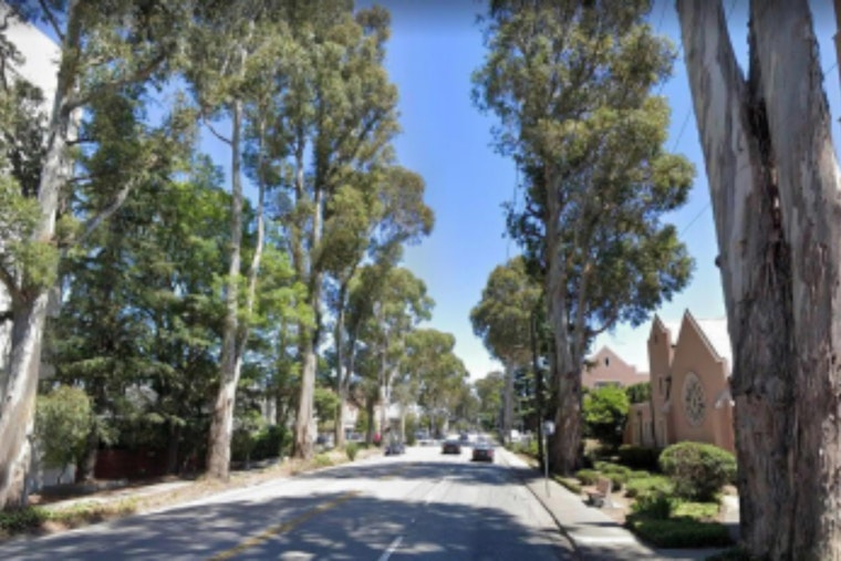 Chainsaws Coming For Burlingame’s Iconic El Camino Tree Tunnel