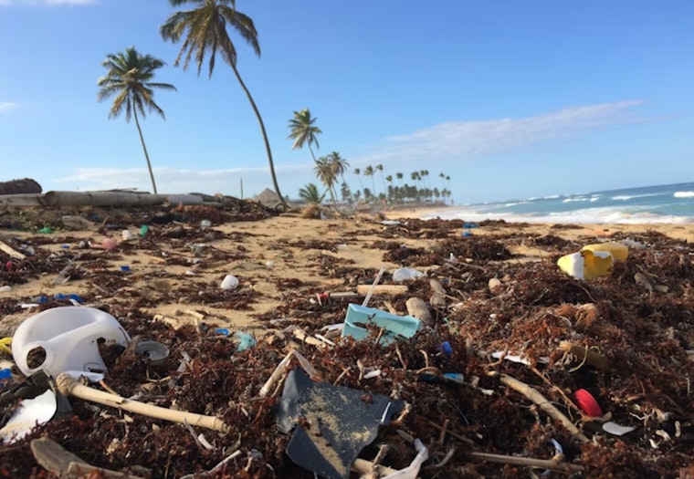 Chemicals Detected Across Oceans Raise California Concerns