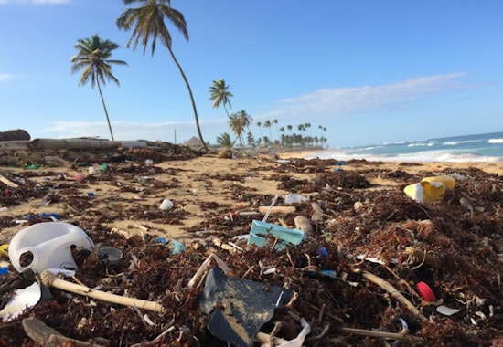 Chemicals Detected Across Oceans Raise California Concerns