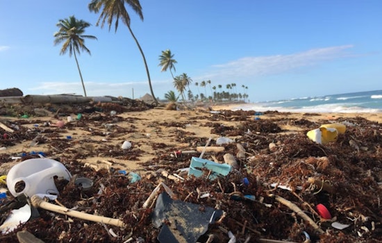 Chemicals Detected Across Oceans Raise California Concerns