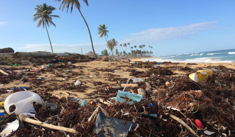 Chemicals Detected Across Oceans Raise California Concerns