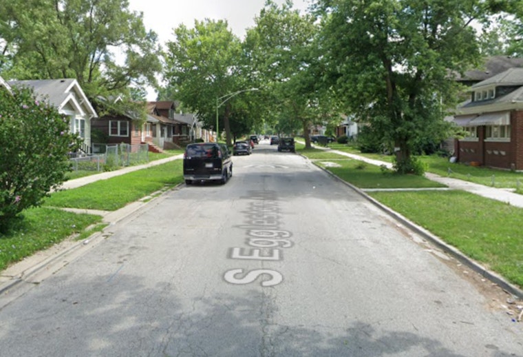 Chicago Officers Fire At Charging Dog During Roseland Check
