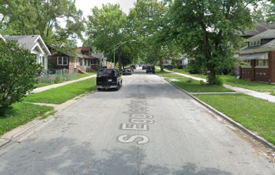 Chicago Officers Fire At Charging Dog During Roseland Check