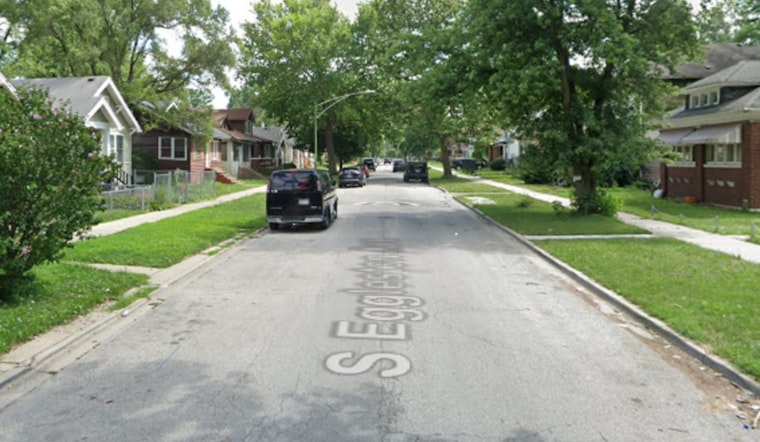 Chicago Officers Fire At Charging Dog During Roseland Check