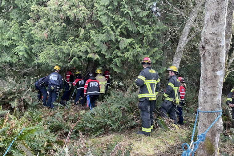 Cliff Drama At Point Defiance As Tacoma Crews Mount Risky Rope Rescue