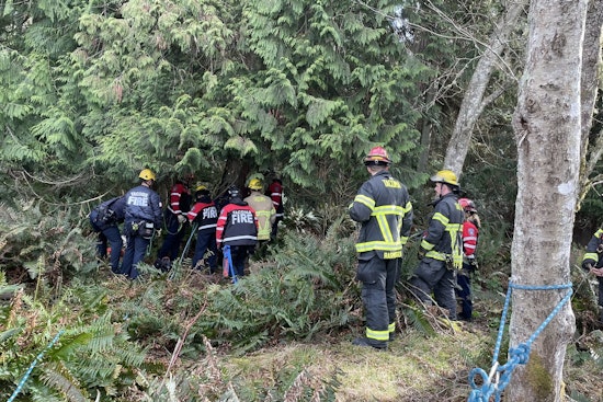 Cliff Drama At Point Defiance As Tacoma Crews Mount Risky Rope Rescue