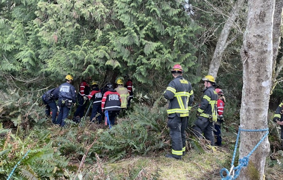 Cliff Drama At Point Defiance As Tacoma Crews Mount Risky Rope Rescue