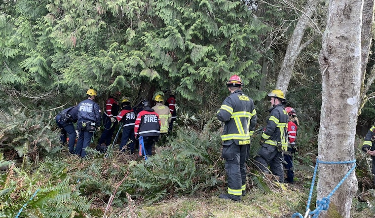 Cliff Drama At Point Defiance As Tacoma Crews Mount Risky Rope Rescue