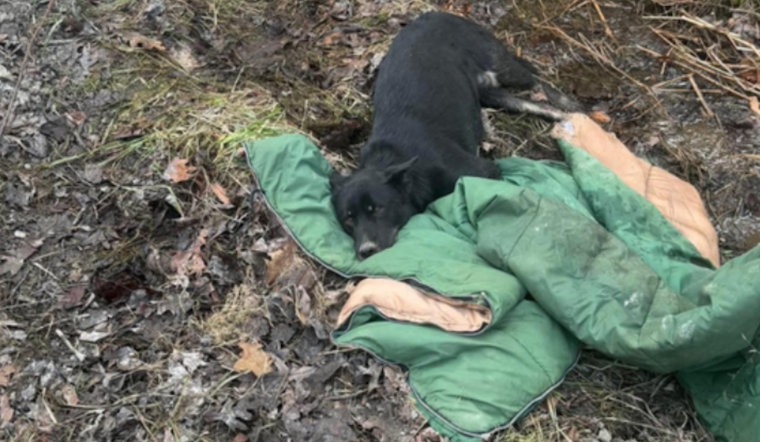 Clymer Woman Charged After Dog Left Broken and Full of Chicken Bones