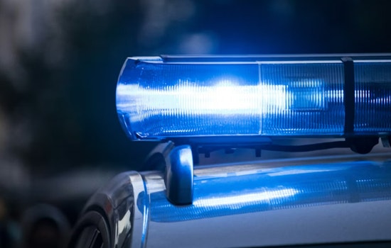 Coastal Run Turns Tragic as Driver Dies in SR 109 Tree Crash