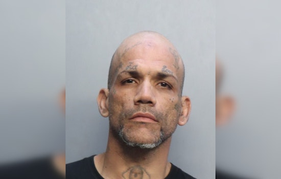 Collins Ave Horror: Driver Busted After Deadly Miami Beach Hit-And-Run