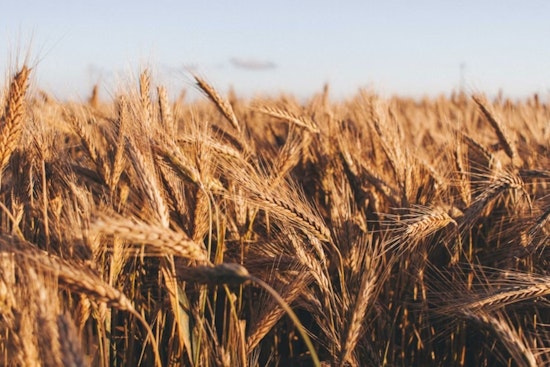 Colorado Thirst: Farms Gulp Nearly 90% of the State's Water