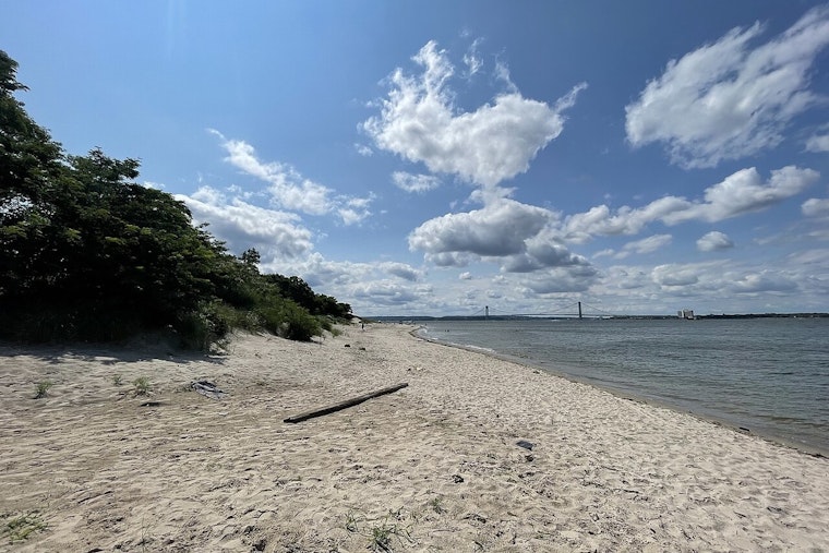 Coney Island Creek Turns Into Bird Graveyard As Flu Fears Mount
