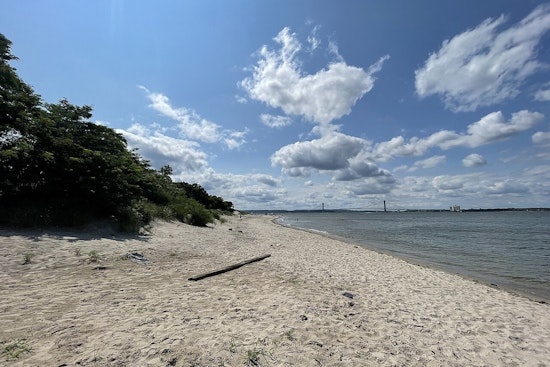 Coney Island Creek Turns Into Bird Graveyard As Flu Fears Mount