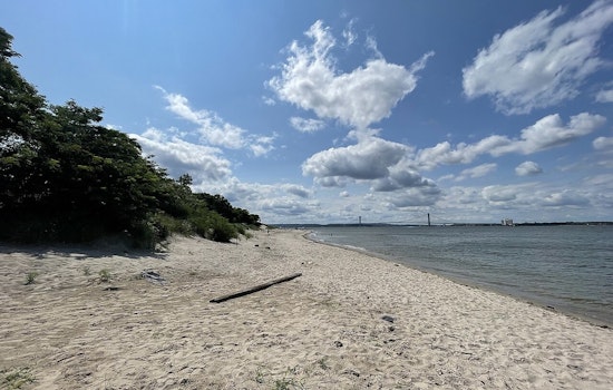 Coney Island Creek Turns Into Bird Graveyard As Flu Fears Mount