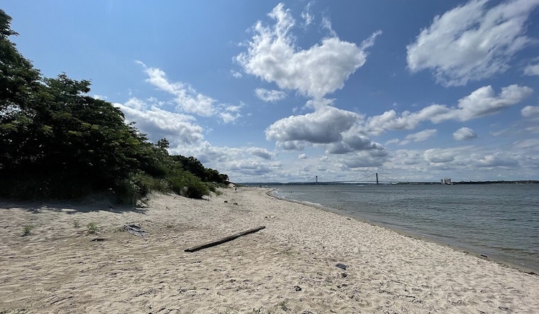 Coney Island Creek Turns Into Bird Graveyard As Flu Fears Mount