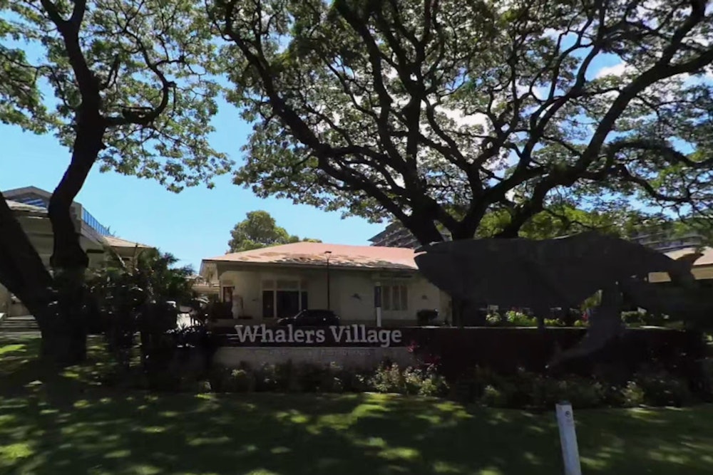 Cool Cat Express Sneaks Back Onto West Maui Menu At Whaler’s Village