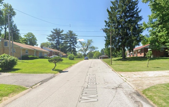 Cool Valley Stabbing Standoff Shatters Afternoon Calm On Willingham Drive